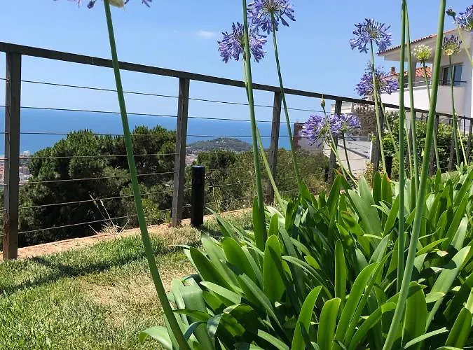 Oasis Costa Brava *